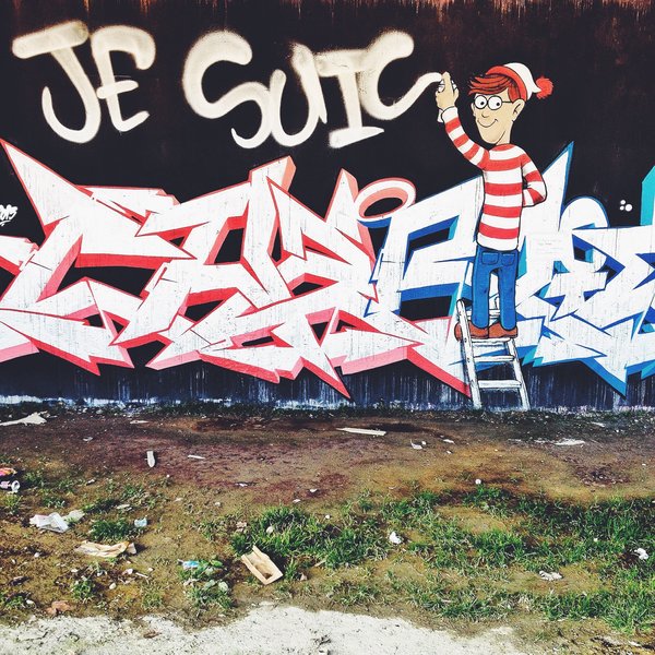 What Are the Best Interactive Games to Play with a Smart Parrot?